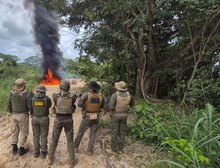 Polícia Civil deflagra Operação Logging e causa prejuízo de R$ 3,5 milhões ao crime ambiental em Mato Grosso