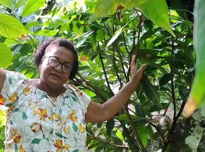 O preço do cacau bateu recorde e deixou produtores da Bahia eufóricos — mas aí veio o 'banho de água fria'