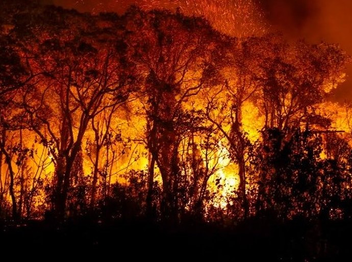 Pantanal tem mais de 3 mil incêndios em novembro; recorde histórico