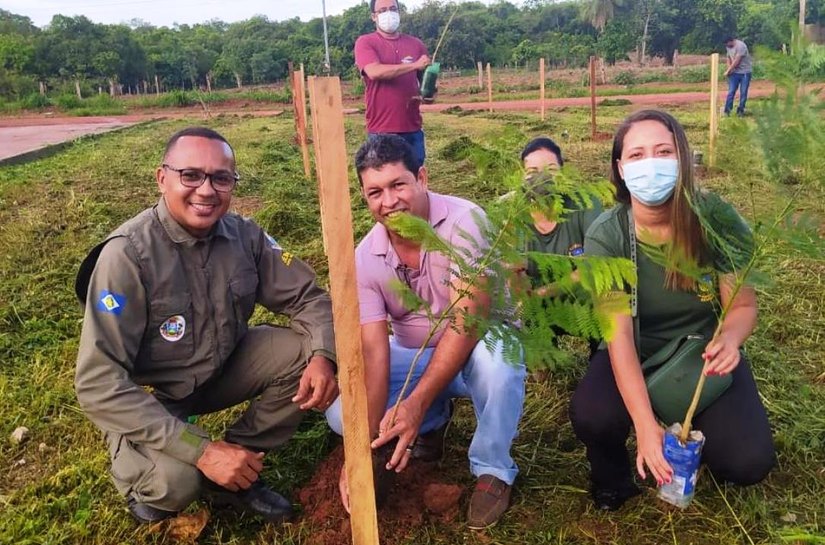 Sema planta 1.700 mudas de árvores em homenagem às vítimas da Covid-19 em MT
