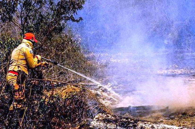 PF e órgãos estaduais apuram causas de incêndios no Pantanal