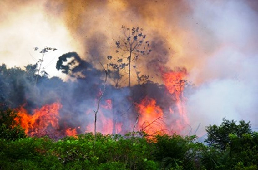MP cria força-tarefa e lança campanha contra queimadas urbanas e rurais