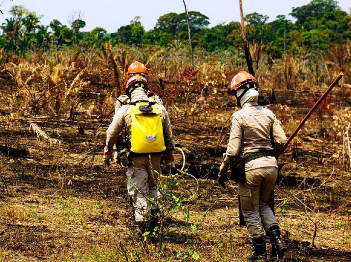 Governo de Mato Grosso lança Operação Abafa Amazônia 2022 nesta terça-feira,04