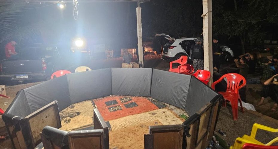 Polícia Civil desarticula rinha de galos e conduz 17 pessoas à delegacia em Canarana
