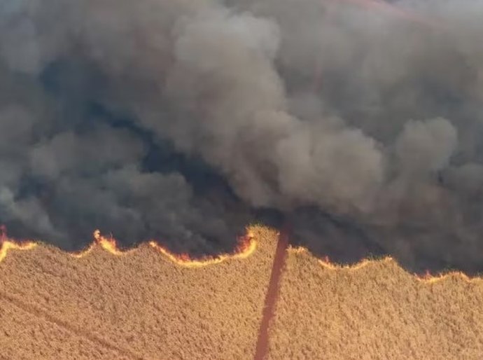 Mais da metade dos estados no país enfrenta o pior período de seca em 80 anos, diz Cemaden