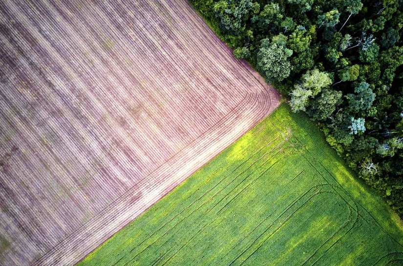 Um quinto das exportações de soja da Amazônia e Cerrado à UE tem rastro de desmatamento ilegal