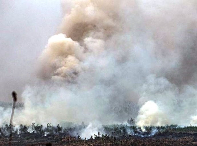 Chuva preta e dias escuros: como queimadas no Pantanal e Amazônia podem afetar outras regiões