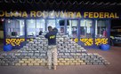 PRF apreende cerca de meia tonelada de skunk em fundo falso de caminhão na BR-364 em Rondonópolis,MT