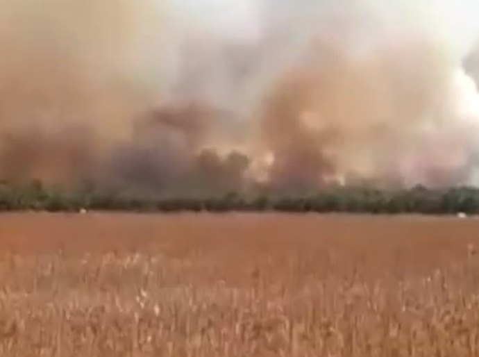 Aumenta em 80% os focos de queimada em Mato Grosso