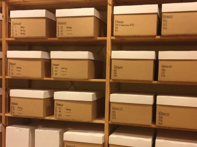 Briga sobre 'herança racista' na Suécia inclui 9 crânios brasileiros