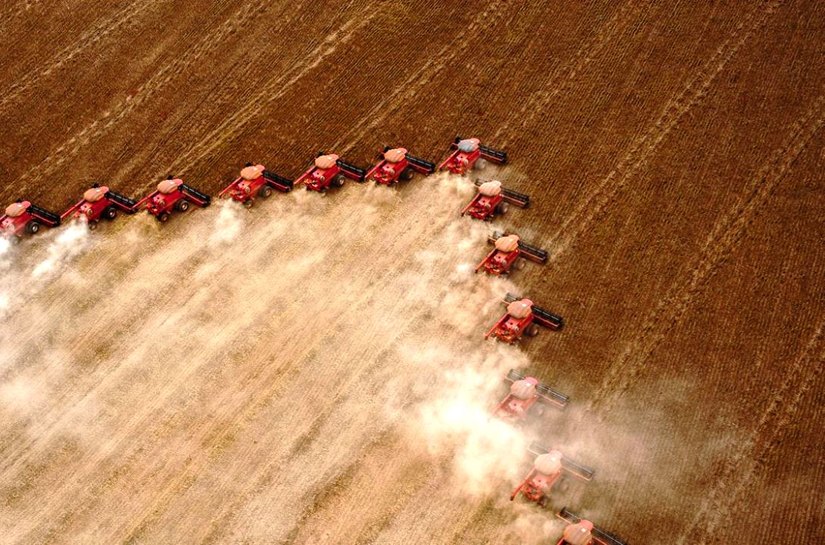 Embrapa: Brasil será maior exportador de grãos do mundo em cinco anos