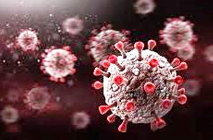 Casos e mortes por coronavírus no Brasil em 7 de fevereiro, segundo consórcio de veículos de imprensa