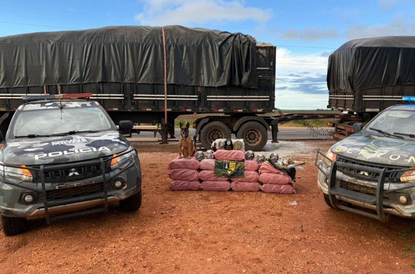 Gefron apreende mais de 400 quilos de skank e causa prejuízo de R$ 1,8 milhão ao crime