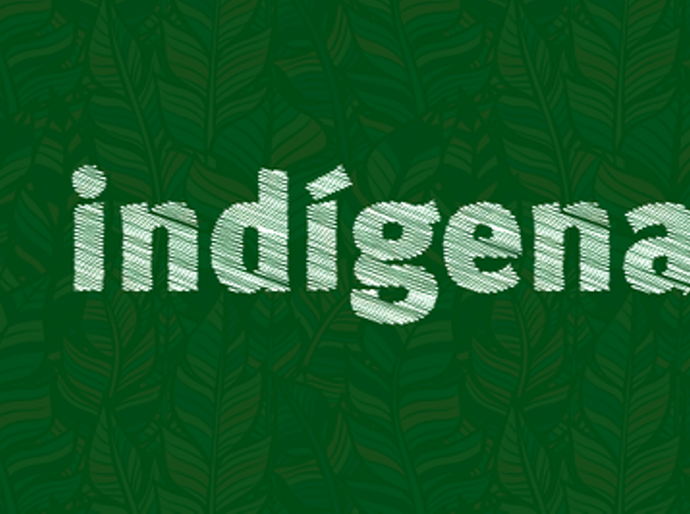 Tribunal mantém suspensão de norma da Funai que facilita a grilagem em terras indígenas no Mato Grosso