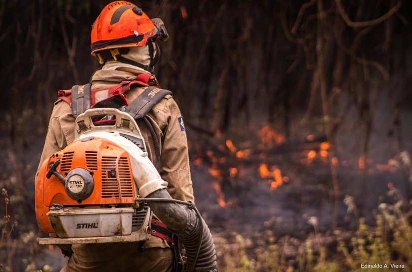 Corpo de Bombeiros combate incêndio nas proximidades de Santuário de Elefantes