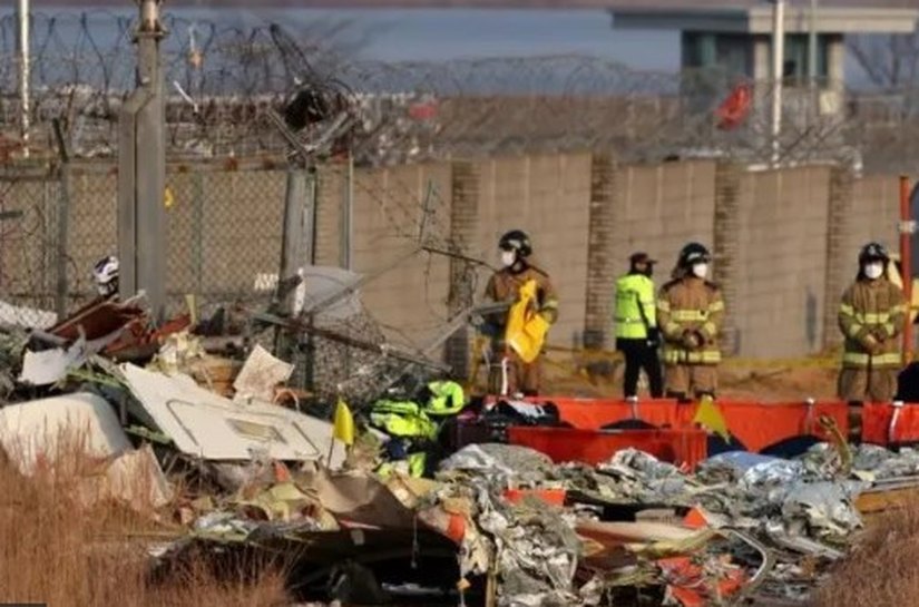 Choque com pássaros contribuiu para o acidente de avião na Coreia do Sul? O que sabemos até agora