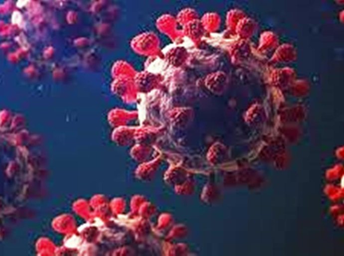 Brasil registra 1.242 novas mortes por covid-19, maior número de registros diários desde agosto