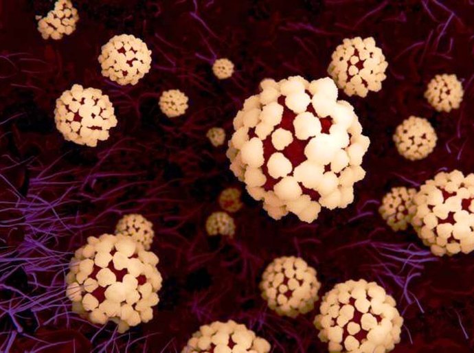 Mato Grosso registra 80.876 mil casos e 2.540 mortes pela Covid-19, nesta sexta feira, 21