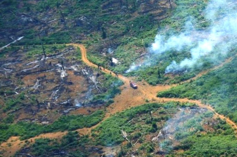COP26: Na contramão do mundo, Brasil teve aumento de emissões de CO2 em ano de pandemia