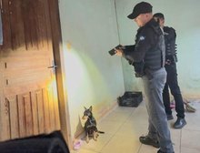 Operação Red Tune da Polícia Civil desarticula facção instalada em Matupá