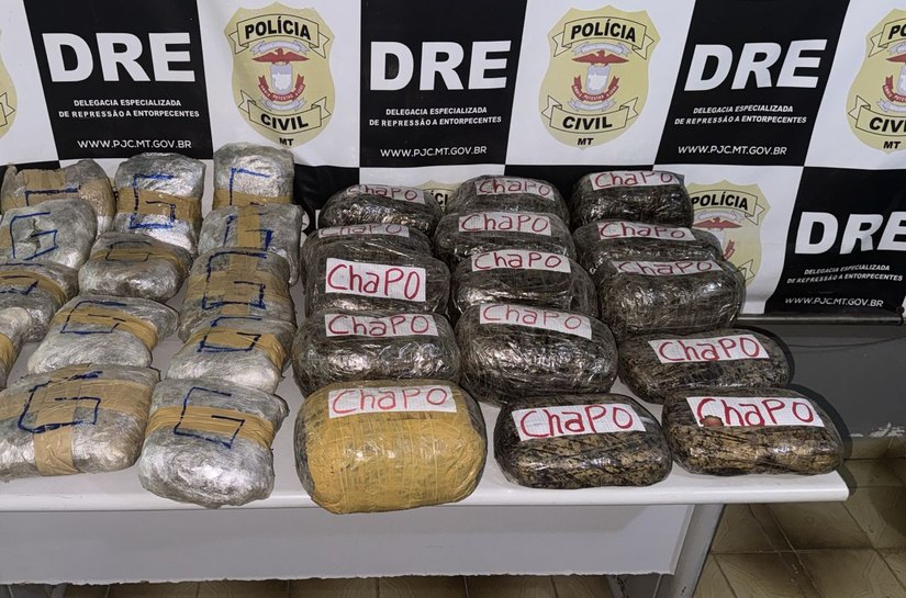 Polícia Civil apreende carga de supermaconha avaliada em R$ 500 mil