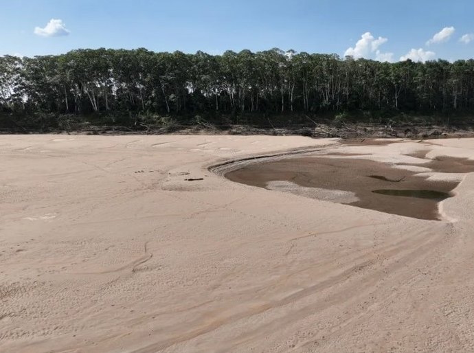 Rios secam e Amazônia pode ter seca como nunca vista antes na história