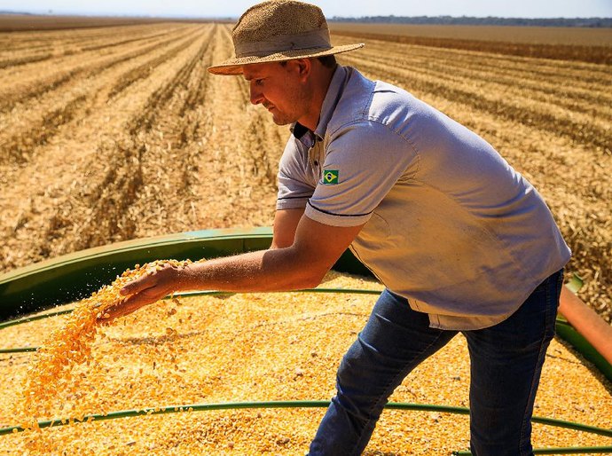 Mato Grosso lidera produção agropecuária brasileira por 4 anos consecutivos