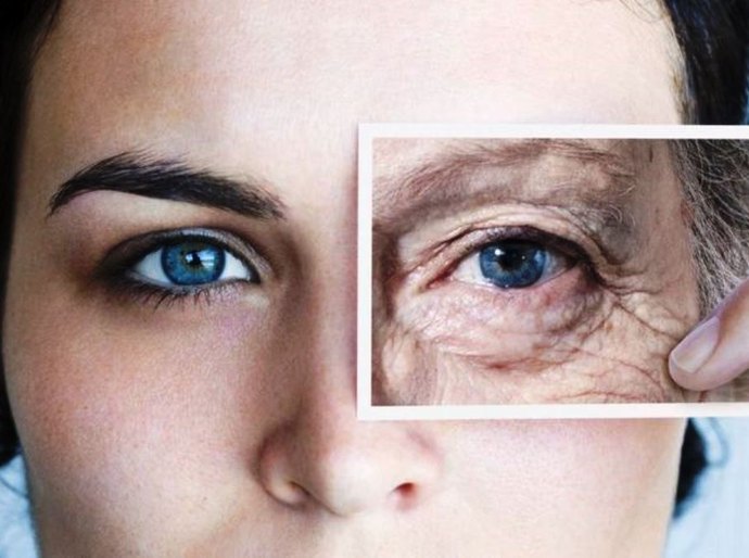 Envelhecer é uma doença que pode ser curada, diz cientista de Harvard