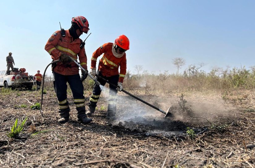 Corpo de Bombeiros extingue dois incêndios florestais e combate 24 nesta segunda-feira,25