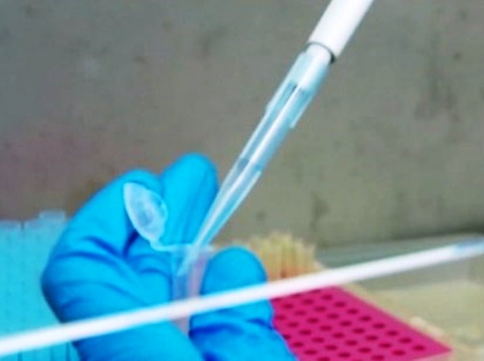 Mato Grosso tem 140.375 mil casos da Covid 19 e 3.789 mil mortes neste domingo, 25