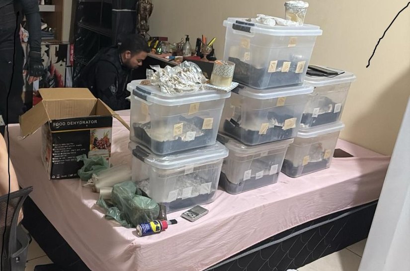 Polícia Civil cumpre 20 ordens judiciais contra grupo de traficantes que atuava em Cuiabá e no Distrito Federal