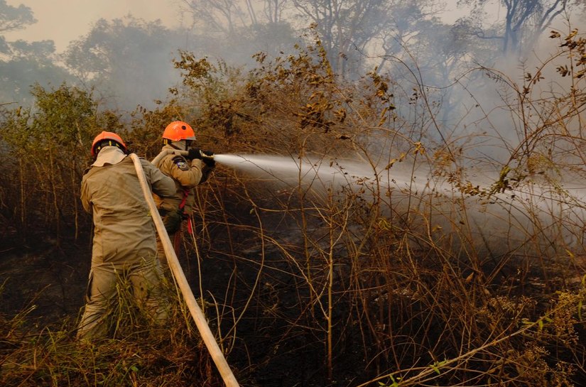 Período proibitivo de uso de fogo em áreas rurais começa neste sábado (1º)