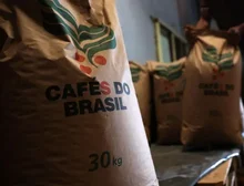 As empresas e políticos dos EUA que tentam convencer Trump a desistir de tarifas 'devastadoras' contra o Brasil