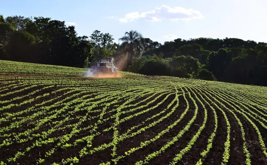 Por que a guerra do Irã ameaça o coração do agronegócio brasileiro