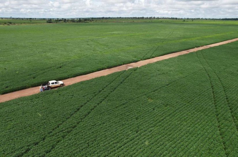 Veja Fotos: Drones auxiliam fiscais do Indea no monitoramento de áreas na fronteira