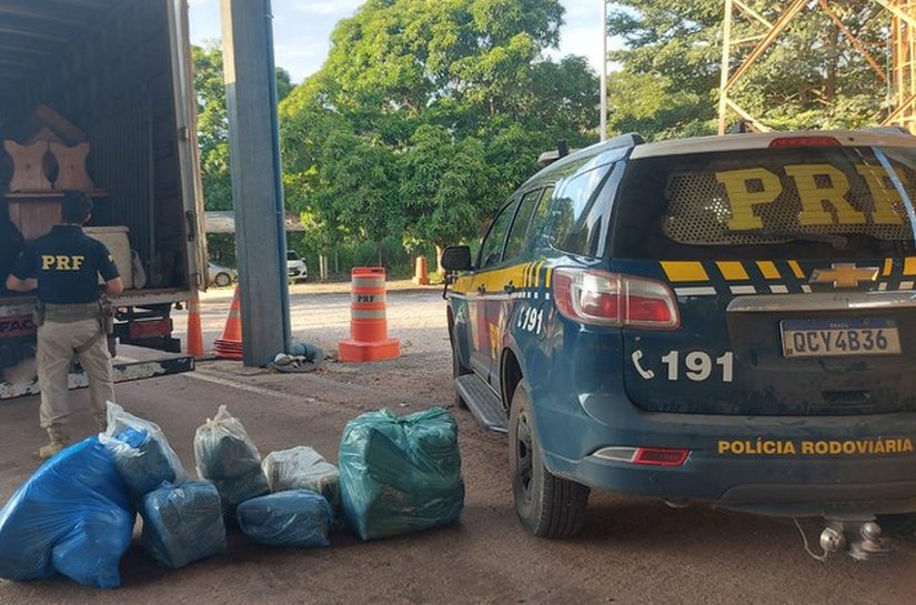 PRF apreende 50 kg de maconha em caminhão de mudança e prende motorista em Cáceres, MT