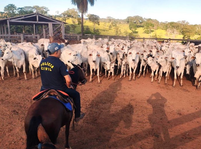 Polícia prende ladrão de gado e recupera 58 cabeças furtadas em MT