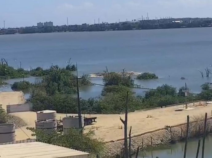 Alagoas: governo estuda transformar área da Braskem em parque estadual