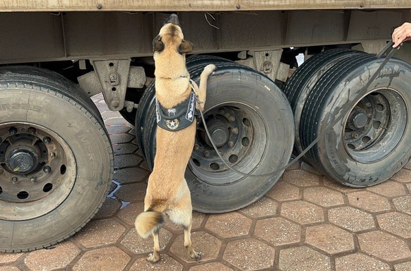 PF desarticula grupo que operava no tráfico interestadual de drogas