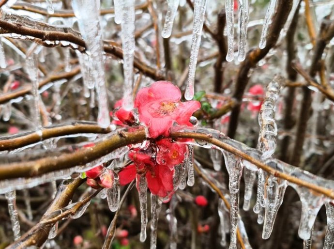 Com -7,5°C, SC registra a menor temperatura do Brasil em 2021, diz Inmet