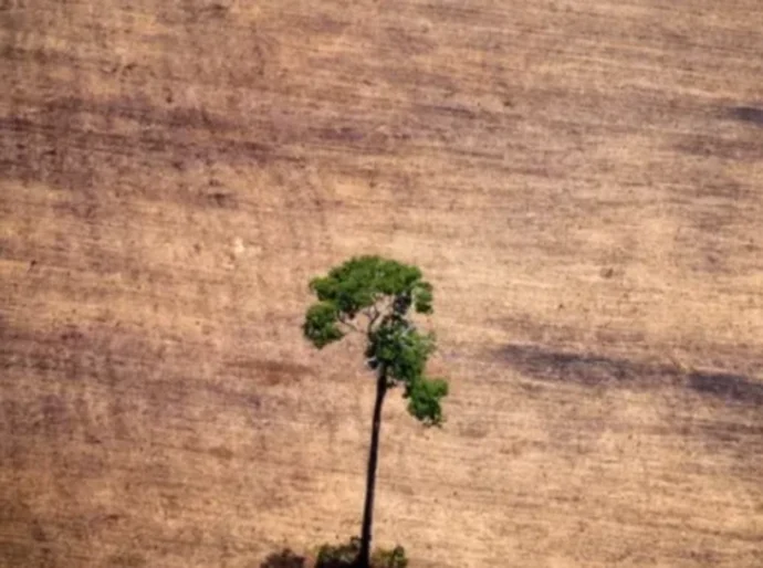 'PL da devastação' ou medida para 'destravar' obras? Entenda vetos de Lula e por que disputa sobre PL ambiental não acabou