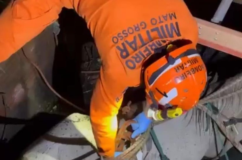 Corpo de Bombeiros resgata cavalo que caiu em poço de residência em Várzea Grande