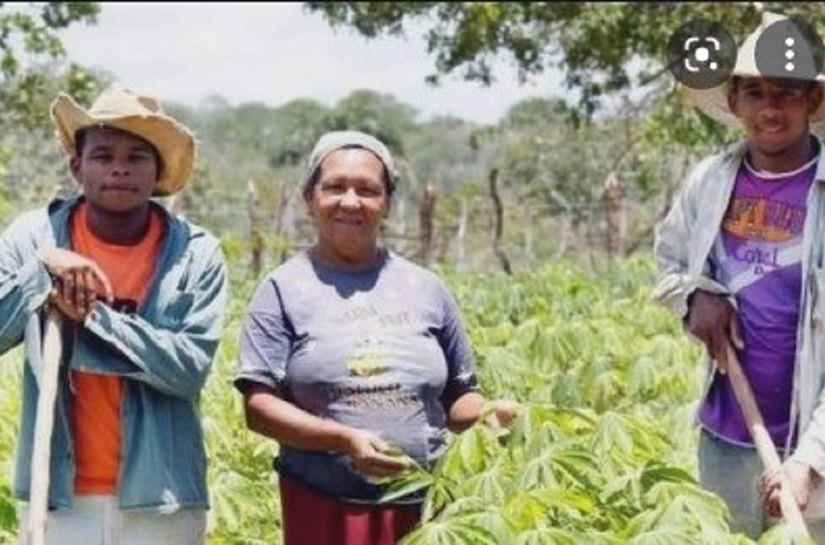 As técnicas agrícolas capazes de reduzir dependência do Brasil por fertilizantes