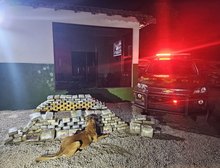 Gefron apreende 153 kg de drogas e gera prejuízo de R$ 1,6 milhão ao crime organizado