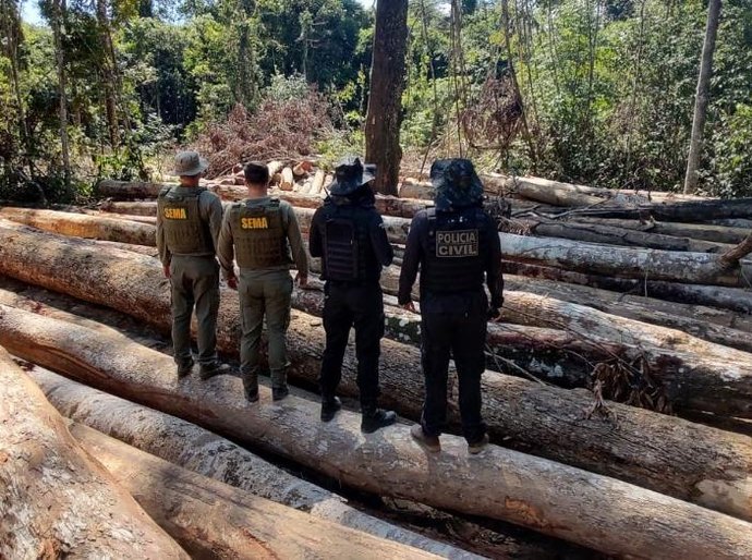 Sema e PJC apreendem 618 metros cúbicos de madeira extraída ilegalmente na região de floresta amazônica