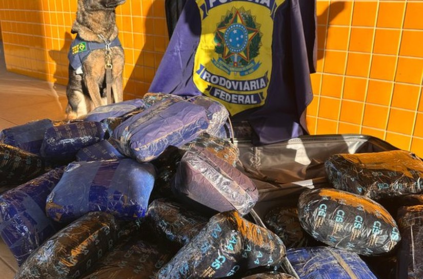 PRF apreende 50 tabletes de skunk durante fiscalização na BR-364 em MT