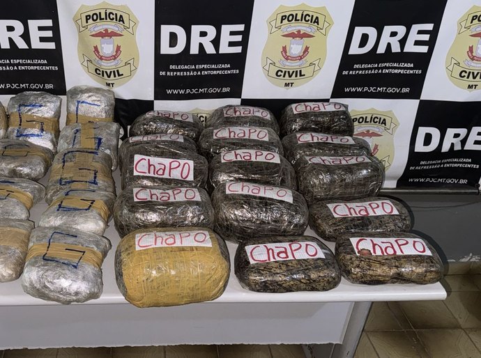 Polícia Civil apreende carga de supermaconha avaliada em R$ 500 mil