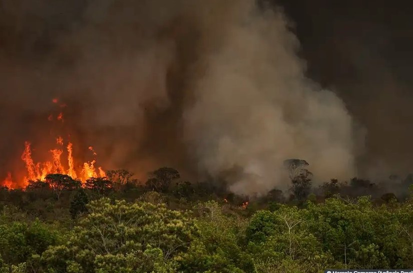 Incêndios podem ter afetado mais de 11 milhões de pessoas no Brasil