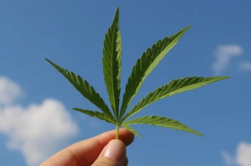 STF tem placar de 5 a 1 para liberar porte de maconha; Mendonça pede vista