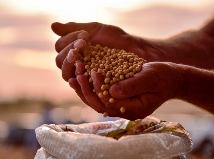 Por que agricultores já estão vendendo a soja que só vai ser colhida em 2022